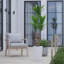 Faux olivier en pot-133254245-133254246-133254279