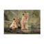«Daniel Katz Little Lion Cubs», art sur toile-93231581