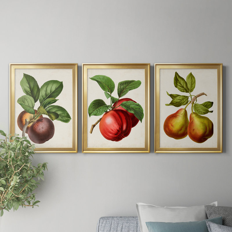 Antique Fruit IX - Ensemble de 3 impressions sur toile encadrées, H 26,5 po x l 109,5 po x P 1,5 po, Doré
