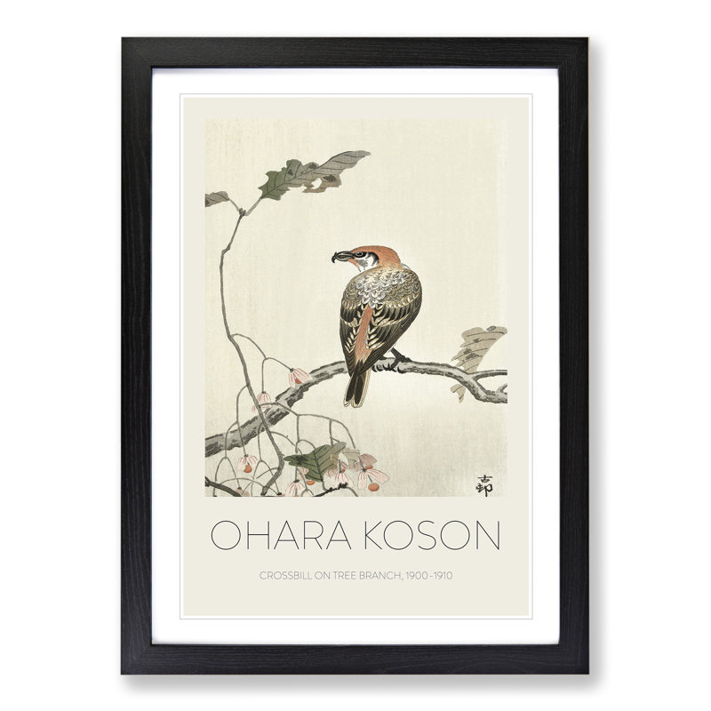 Crossbill on a Tree Branch 1 Piece Single Picture Frame Wall Art, 36cm H x 27cm W x 2cm D, Black Framed