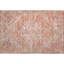 Tapis de qualité supérieure lavable à la machine Wayne AMF1104-2064021596