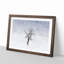 Winter Tree - Picture Frame Painting Print-56739356-56739350