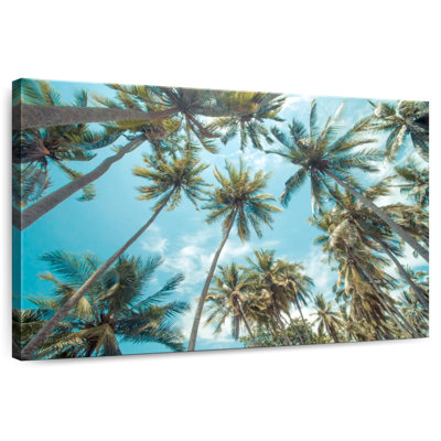 Harnek Tropical Palm Trees