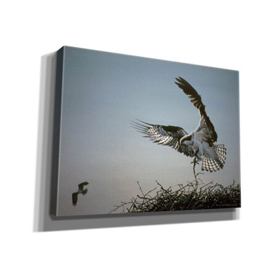 Nest Builder par Ron Parker
