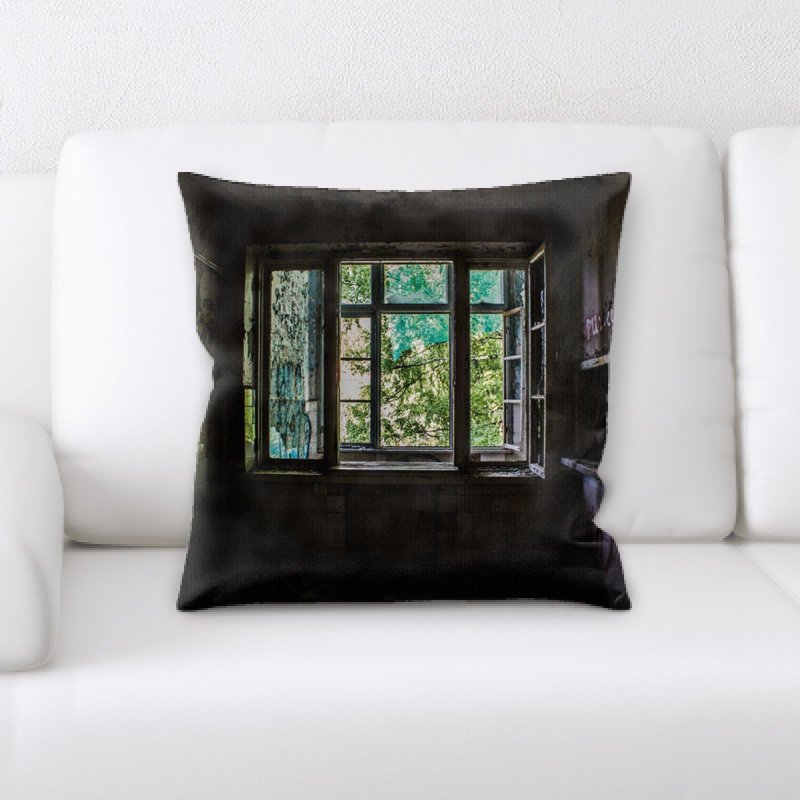 Coussin ancien et abandonné Louisiana