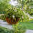 Tingsley Hanging Planter-1130543857-1130543856