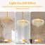 6 - Light Chandelier