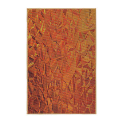 Indoor Rug