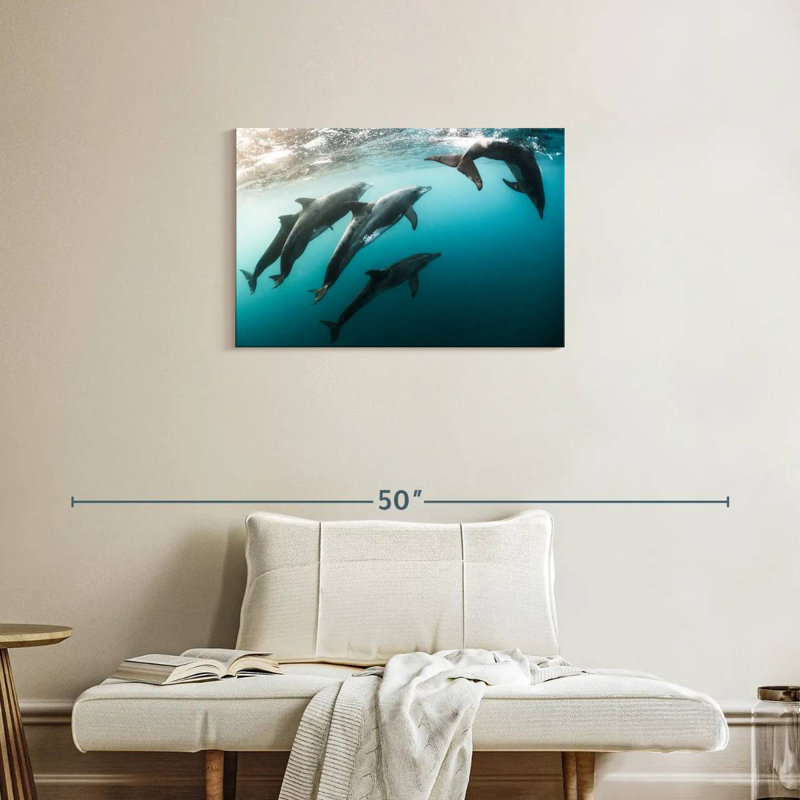 Brampt Dolphin Playmates, 20" H x 30" W