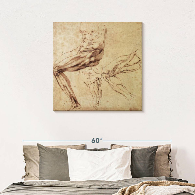 Trois études d'une patte, 36" H x 36" W