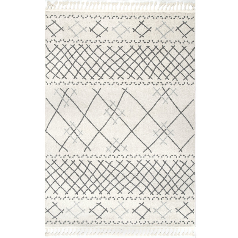Washtenaw Southwestern Indoor Rug, Rectangle 4' x 6'