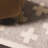 Geometric Indoor Rug-988524820