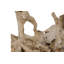 Origins Sculpture
