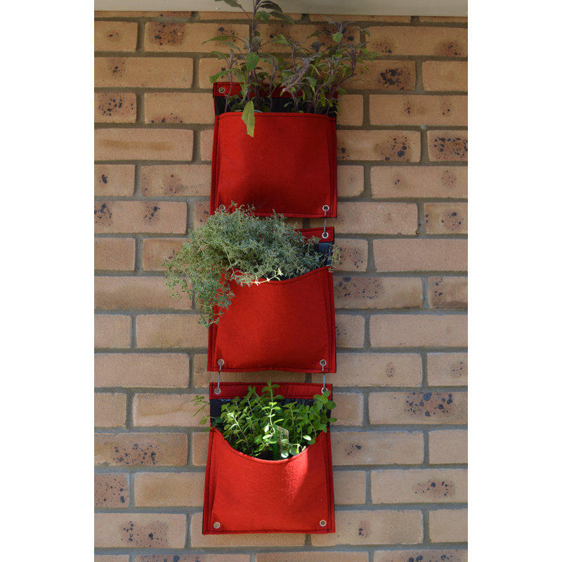 LosPalmos Wall Planter, Red