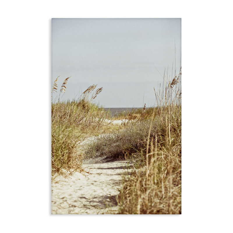 "Sandy Path with Reeds", art mural sur toile par Susan Bryant, H 30 po x l 20 po