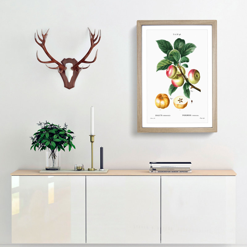 Apple Tree Branch by Pierre-Joseph Redoute - Single Picture Frame Painting, Oak Framed, 45cm H x 33cm W x 2cm D