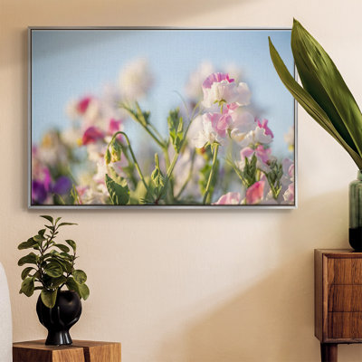 «Spring Petals», reproduction sur toile