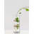 Glass Table Vase-1773694132