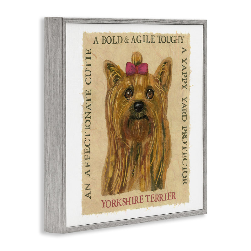 «Yorkshire Terrier» amusant par estampe numérique par Nancy Overton, Estampe numérique Farmhouse, H 17 po x l 17 po