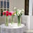 Glass Table Vase
