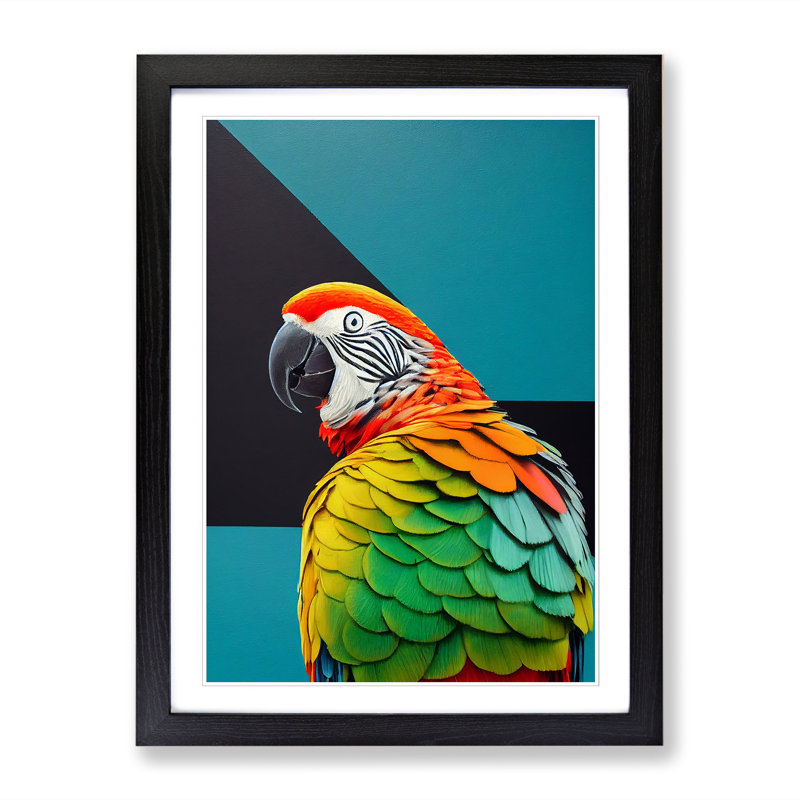 Parrot Portrait Vol.2 - Single Picture Frame Print, Black, 46cm H x 34cm W x 2cm D