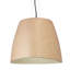 Phaedra 1 - Light Dome Pendant-31814861