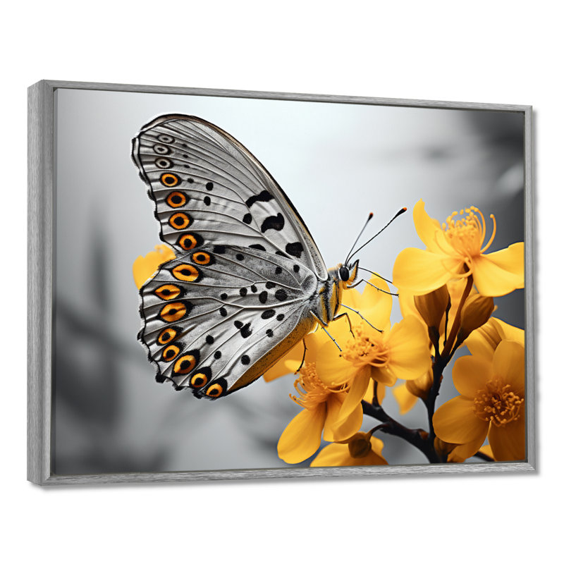 Papillon jaune et jaune Haven II - art mural papillon, 24" H x 32" W, Encadrement argenté