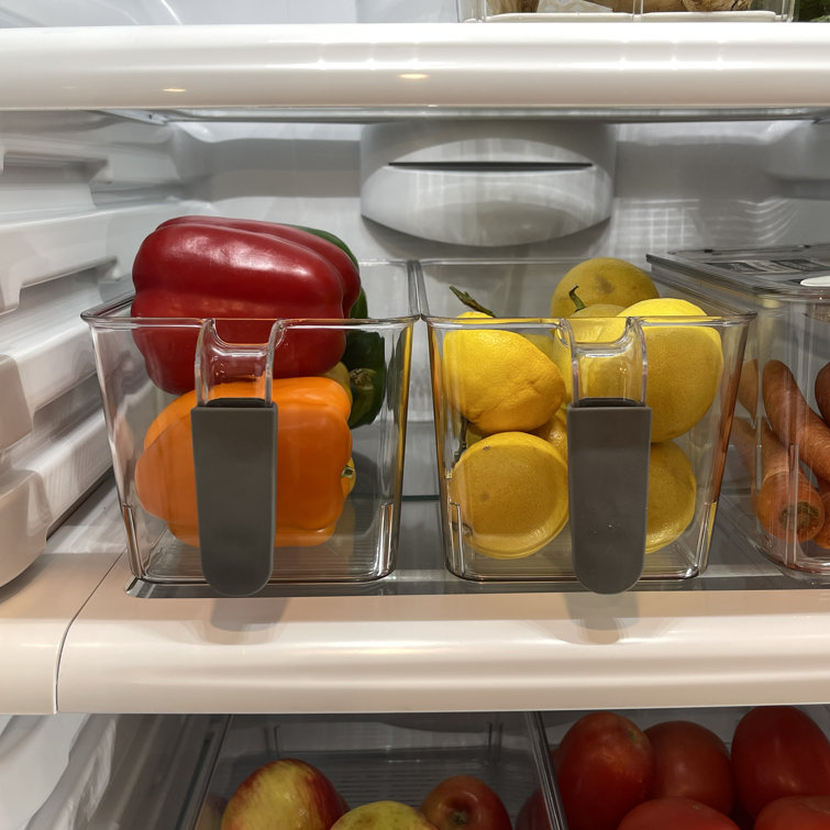 Stylish Food Storage Containers for the Modern Kitchen