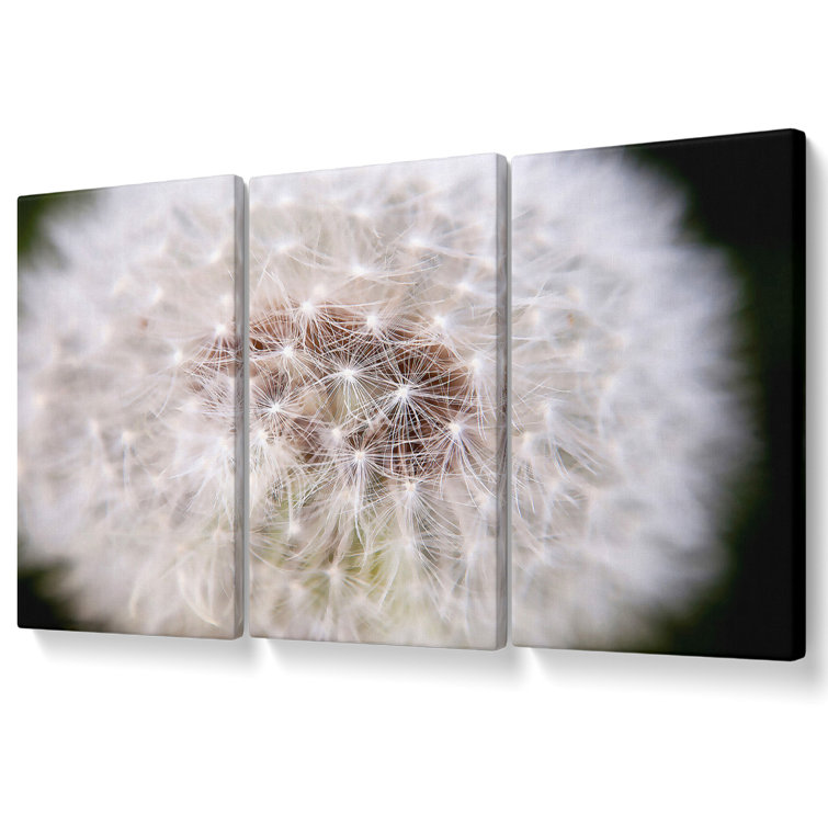 Make A Wish - 3 Piece Wrapped Canvas Print