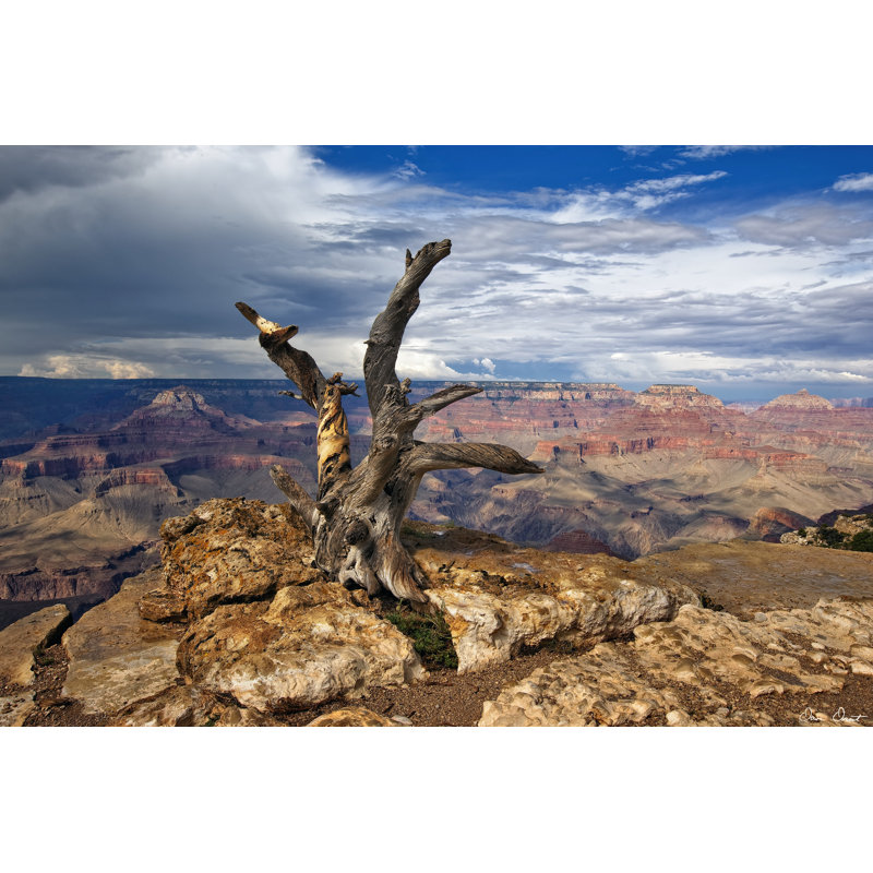 Canyon View V by David Drost - Wrapped Canvas Art Prints, 61cm H x 91cm W x 3.8cm D