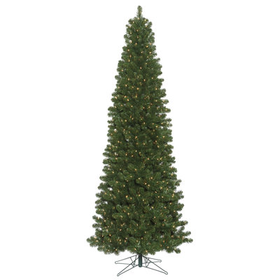 Vickerman 18' x 82"Oregon Fir Slim Artificial Tree 3200 Warm White LED,7872 Tips