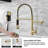 FLG Pull Down Kitchen Faucet