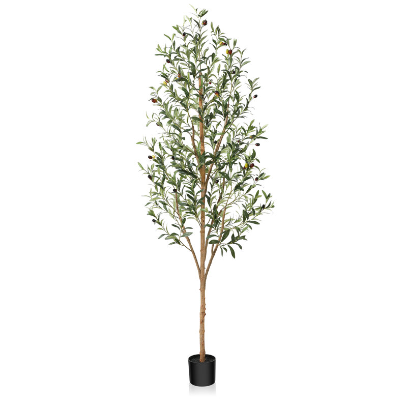 Adcock Artificial Olive Tree in Pot with Realistic Leave and Natural Trunk, 70" H x 18" W x 18" D