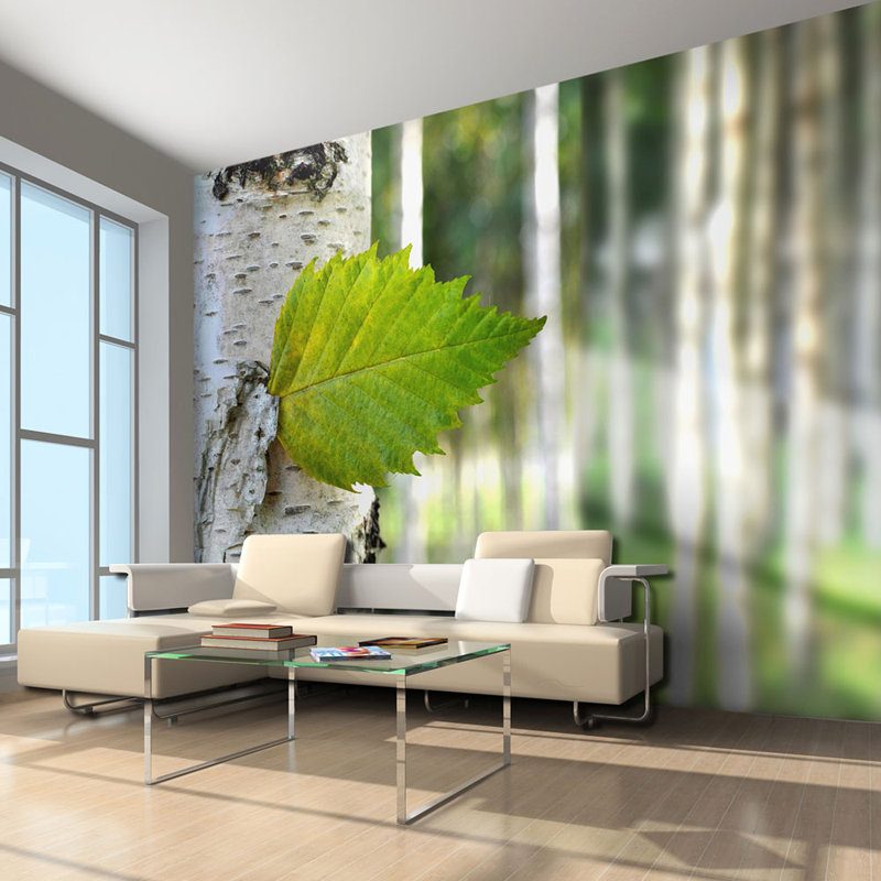 Birch Leaf 2.70m x 350cm Wallpaper, 300 cm x 231 cm