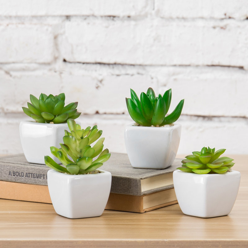 3.25'' Faux Succulent Plant in Ceramic Planter