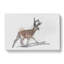 Sketch Of A Stag In Abstract - Wrapped Canvas Print-55339274