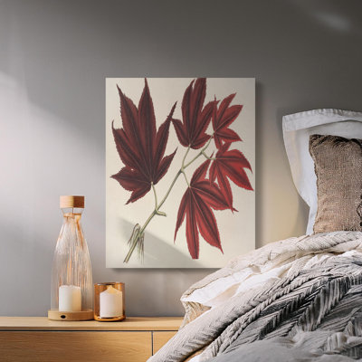 Herzig Wrapped Canvas Print Set