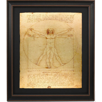 Vitruvian Man By Leonardo Da Vinci
