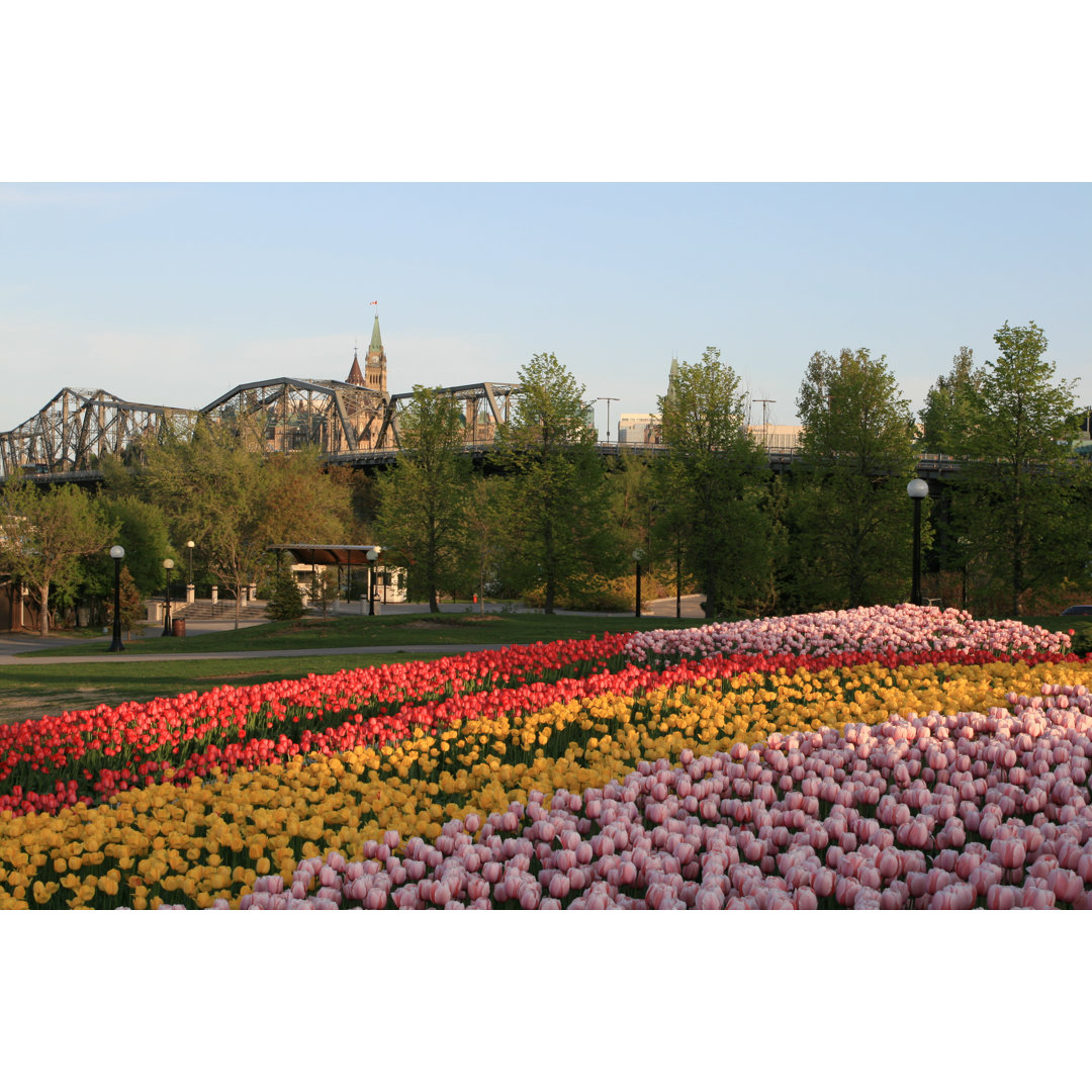 Leinwandbild Alexandra Bridge und Peace Tower beim kanadischen Tulpenfestival