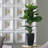 35.4'' Faux Fir Tree in Pot