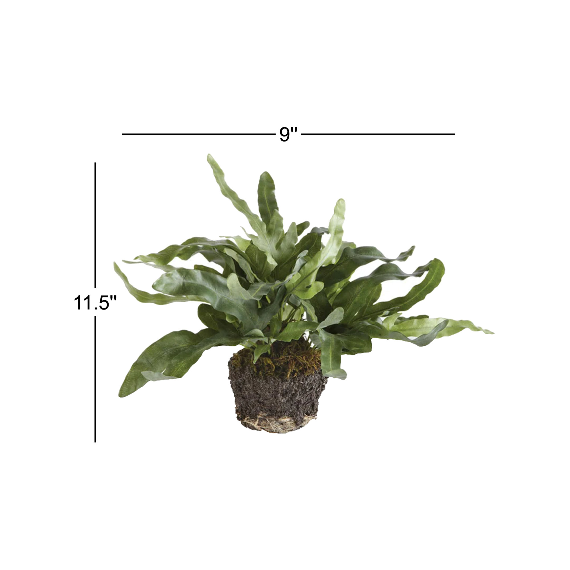 Georgia Echeveria Fern Drop-In Faux Plant, Large