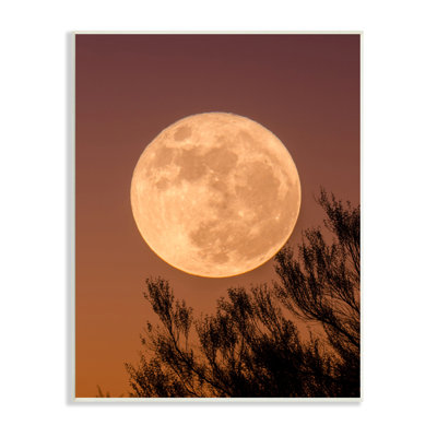 Pleine lune, branche d'arbre, silhouette, ciel d'automne par Birch & Ink - impression