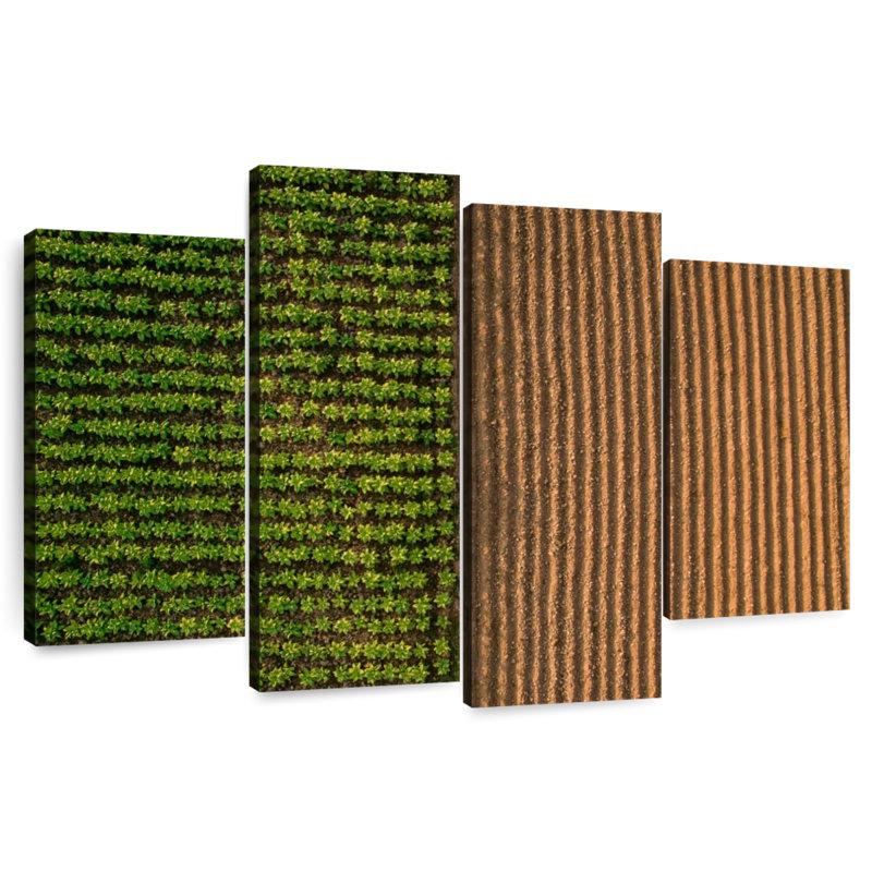 Alvord Plowed Farm Field, 42" H x 68" W