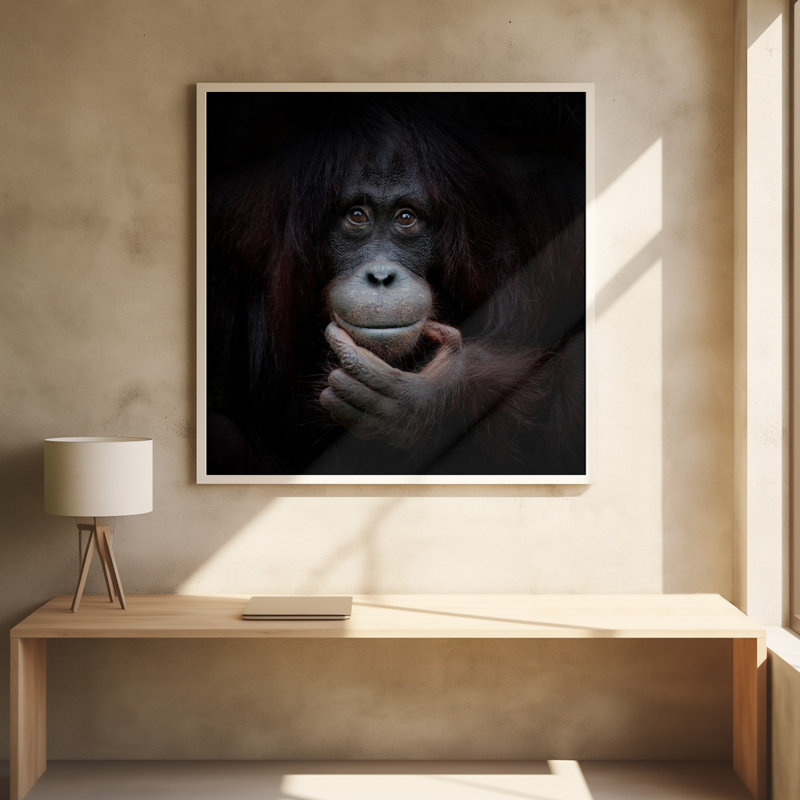 Wrapped Canvas Print, 121.92 cm H x 121.92 cm W