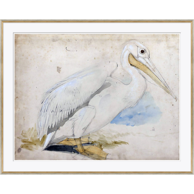 Sea Birds 1 Giclee Print