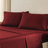 Edmont Certified Egyptian Cotton 530 Thread Count Solid Pillowcase-27790642-27790648