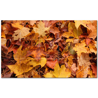 Photo d'automne 4,25 x 4,25