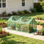 Mini serre portative Outsunny 120 x 60 x 60 cm avec bâche en PE et fenêtres à glissière enroulables pour une utilisation intérieure et extérieure au jardin