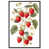 Cadre flottant blanc