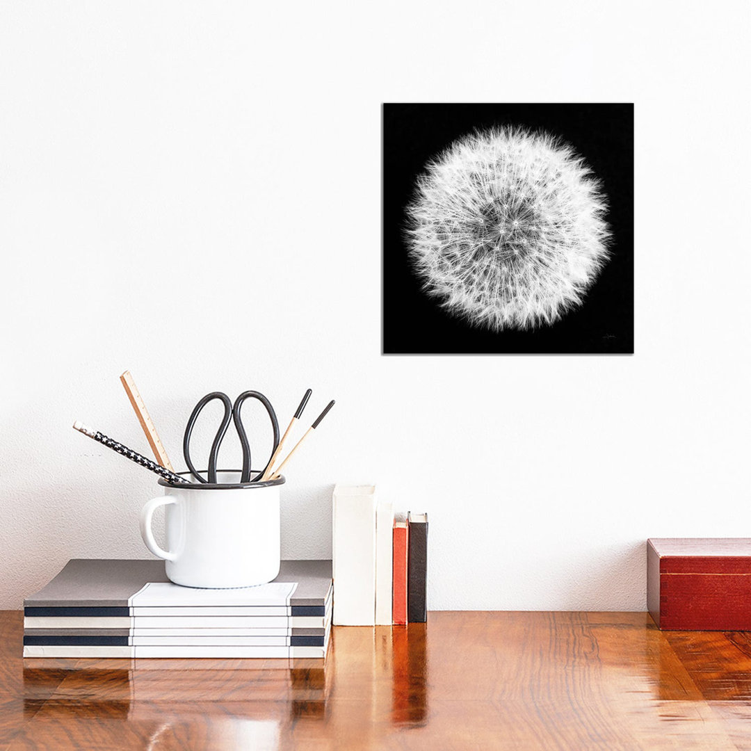 Dandelion on Black I by Aledanda - Wrapped Canvas Graphic Art
